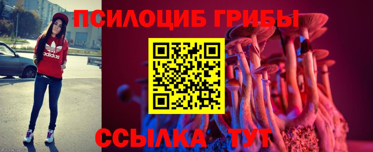 Гусиноозёрск  закладки  Вход с VPN  Галлюциногенные грибы GOLDEN TEACHER 