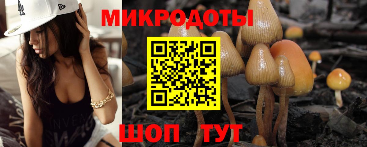 Галлюциногенные грибы GOLDEN TEACHER Гусиноозёрск